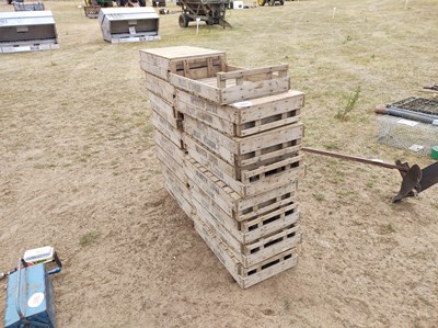 Lot 389 - 31 x Potato Chitting Boxes