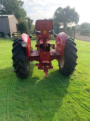 Lot 201 - Massey Harris 333 Tractor (Fully Restored) -...