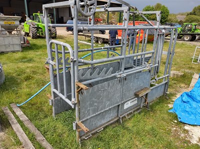 Lot 58 - Lodden Cattle Crush